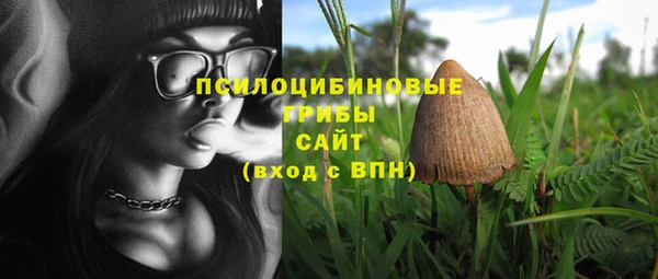СК Абинск