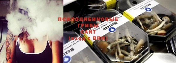СК Абдулино