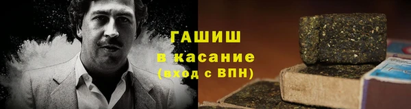 индика Алзамай